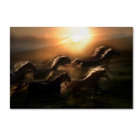 Milan Malovrh 'Morning Gallop' Canvas Art,12x19